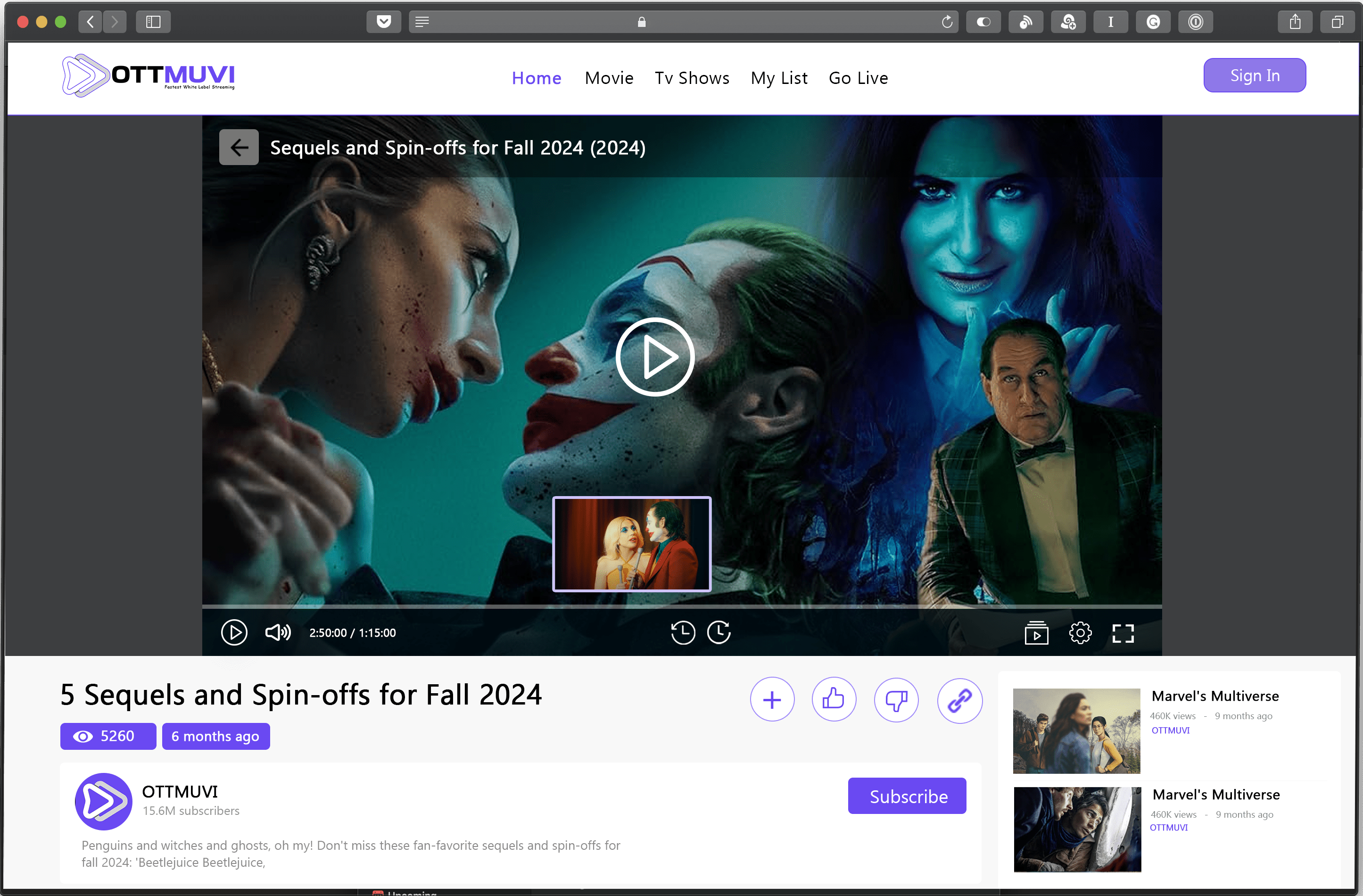 OttMuvi video player page with content details